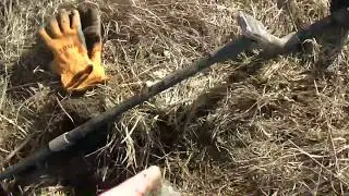 Ольга в своем репертуаре -целая хабарница монет и не только. Весенний коп.
