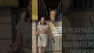 Обыкновенные герои. Аделина Мингазова