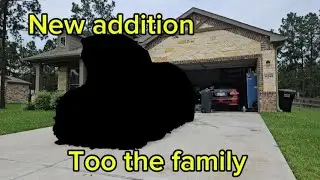 unveiling the new to us car