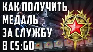 cs go как получить медаль в кс го