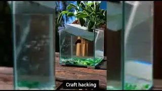 ll some planting hack's for you ll check it out ll 