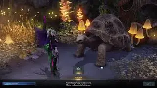 The Turtle And The Boy - Lost Ark