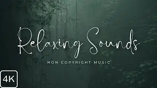 [No Copyright Music] Relaxing Music for Sleep, Meditation by AudioUniverse