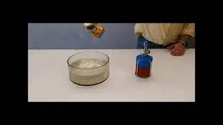 Getränkedose