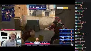 CSGO casters roast xQc during a Match