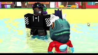 the roblox experience