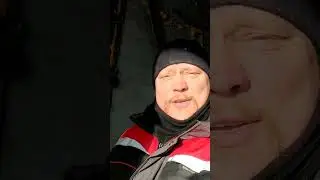 Бабочка в столярке!