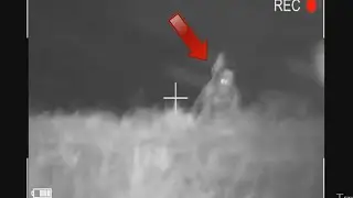 Videos Terroríficos y extraños 8