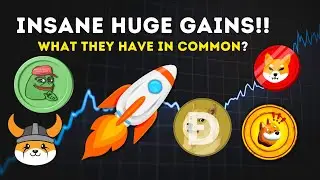 Shiba Inu, Dogecoin, Floki, Pepe, & Bonk UPDATE!