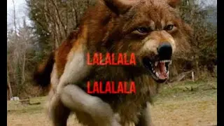 Twilight || Lalalala lalalala ||