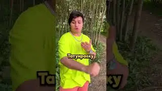 Волки добьем 10К ?😁