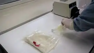 Actero™ EZ-Media Bag - FoodChek