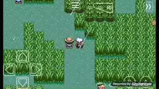 Pokemon Emerald -- Grass Labyrinth -- Normal -- Episode 18