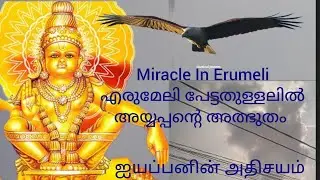miracle in Sabarimala/Erumeli pettaithullal/അയ്യപ്പന്റെ അത്ഭുതങ്ങൾ/Sabarimala