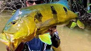 Pescando no CAIAQUE DUPLO, pegamos muito peixe ! #pesca
