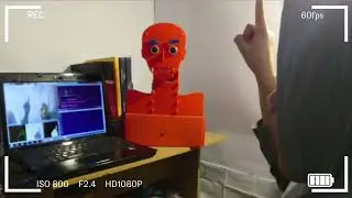 Implementation Of Hand Gesture Recognition Using OpenCV Python On Head Robot THORBot | Python3|
