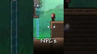 Things to do when bored in Terraria!