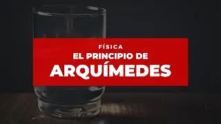 El Principio de Arquímides (Peso del objeto y Fuerza de empuje) / Física