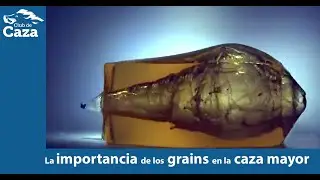 La importancia de los grains en la munición para caza mayor