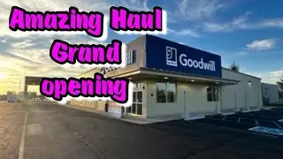 I Hit Up 4 Thrift Stores and Goodwill Grand Opening! Did I Find Some Gems?