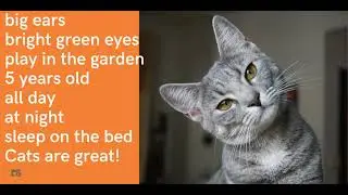 Talking about your PET 