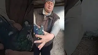15 февраля 2023 г.