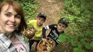 За грибами с детьми • Найти и приготовить за 4 часа • Домашний жюльен из лесных грибов