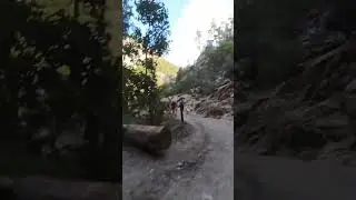 Sprint