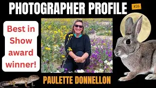 Photographer Profile: Paulette Donnellon - Best in Show award winner!