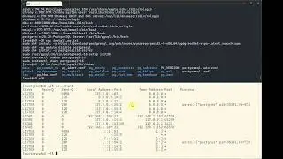 Install PostgreSQL 16 on Linux 9 and configure remote connection
