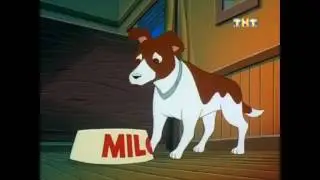 Dog vore (TMAS S03E03)