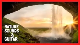 Relaxing music 🌼  Meditation music 🌳  Sounds of nature 🎸 Guitar