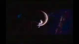 Dreamworks Animation SKG Puss in Boots Variant VHS Capture