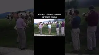 🌟тгк: простомука #рек #простомука