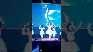 🦢හන්සා වන්නම🦢