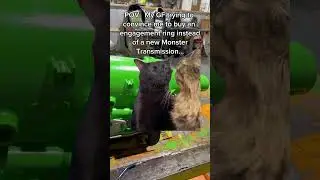 Untitled video