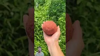 amazing recipe 🍔 😲 ~ New Viral Gadgets, Smart Appliances, Kitchen Utensils/ Home Inventions#shorts