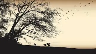 Harmony of Autumn | Composed by B.Manuel