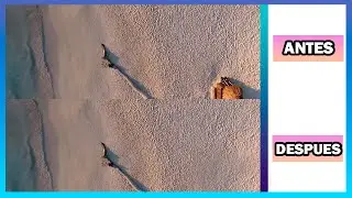 Adobe Premiere Tutorial: How to remove people or objects from a video.
