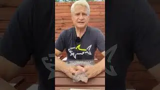 Само мъж може да бие рекорда на Стефка Костадинова! Кога и къде превръщаха жените-спортисти в мъже?
