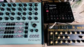 Behringer Wasp Sound Demo (with Perkons HD-01, Elektron Syntakt) Neon Pulse