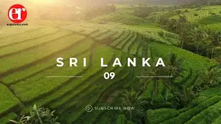Sri Lanka Travel Tips: What Need To Know | Expat Race
