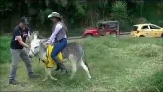Giulia practica equitación