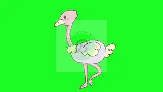 Ostrich Green Screen | Bloxx Green Screen