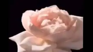 Omg 😂😂😂