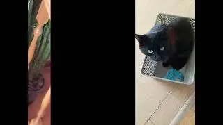 Если вам позвонили и сказали что завтра понедельник, не слушайте их, это мошенники! 