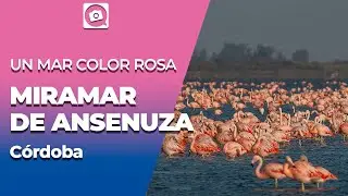 [RECOMMENDED DESTINATION] MIRAMAR DE ANSENUZA