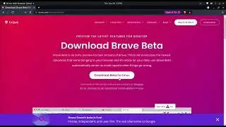 Brave Search Engine : A potential alternate to the Google Search Engine