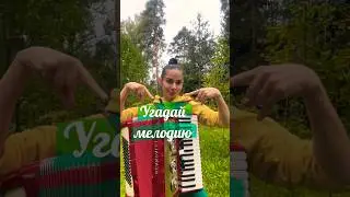 🥰❤️ты сможешь #аккордеон #угадаймелолию #музыка #триаккорда #песня #баян #питер #игора #топ #music