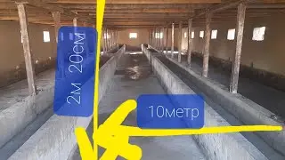 Вакти огул сохтан сар шид хатман хамехели огул тафси мекунам дустон